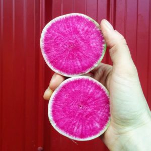 CSA Double Beet